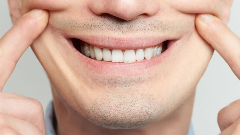 Răng hàm số 4 có chức năng nâng đỡ cơ mặt