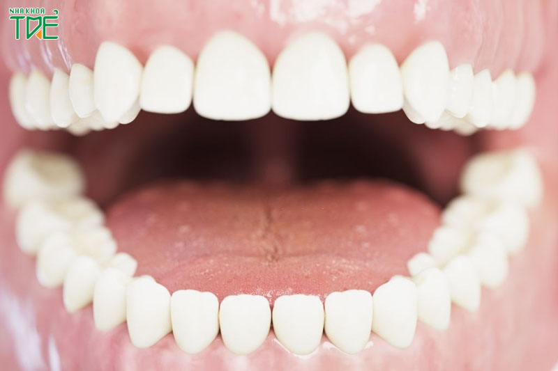 Số thứ tự các răng vĩnh viễn được đánh số như thế nào?
