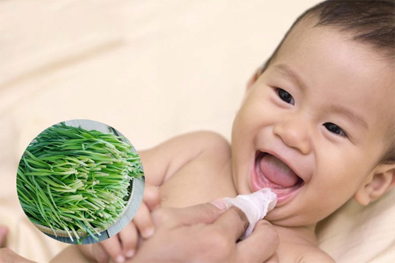 Rơ lưỡi từ lá hẹ - mẹo giúp bé mọc răng không đau hiệu quả