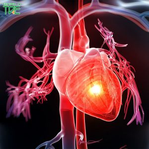 [Cảnh giác] Nguy cơ mắc bệnh tim mạch do mất răng lâu năm
