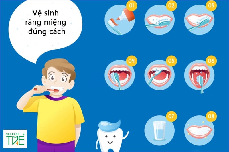 Vệ sinh răng miệng sạch sẽ, đúng cách để ngăn chặn tình trạng rụng răng sớm