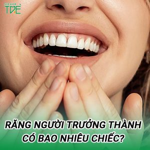 Răng người trưởng thành có bao nhiêu chiếc?